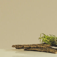 Le coffret pour homme gentleman